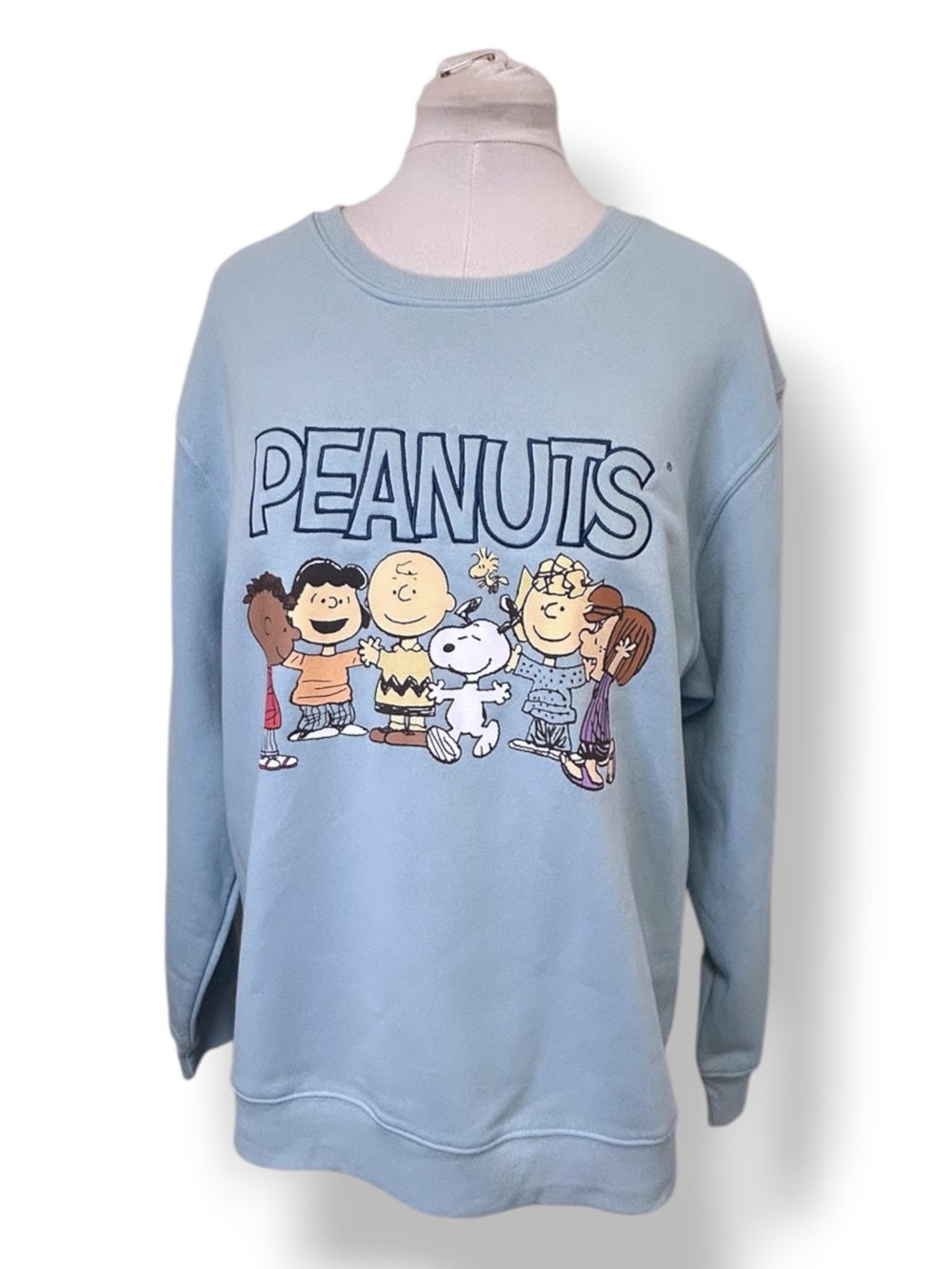 Peanuts Women’s Plus Sweatshirt with Character Lineup Light Blue 1X